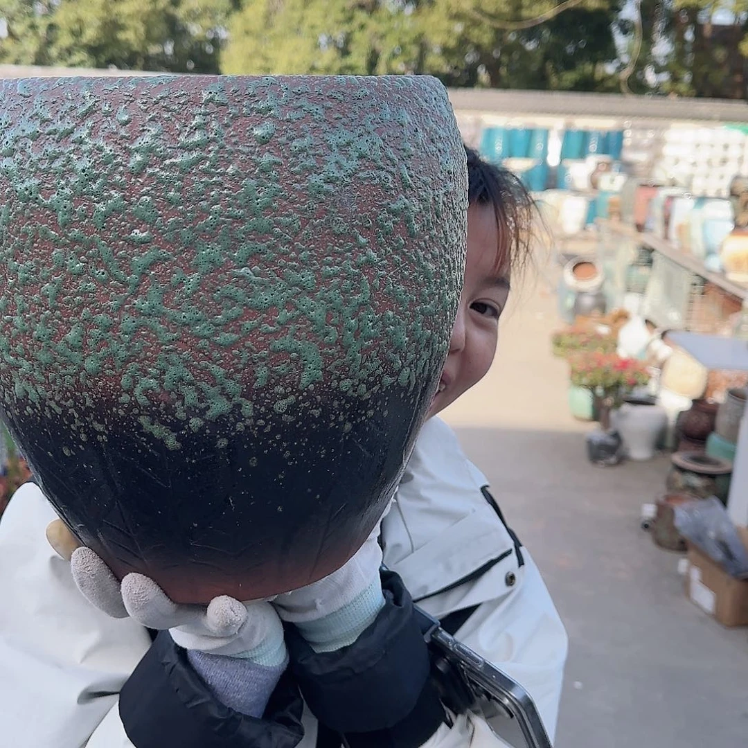 王嫂花盆1128-110高27口25