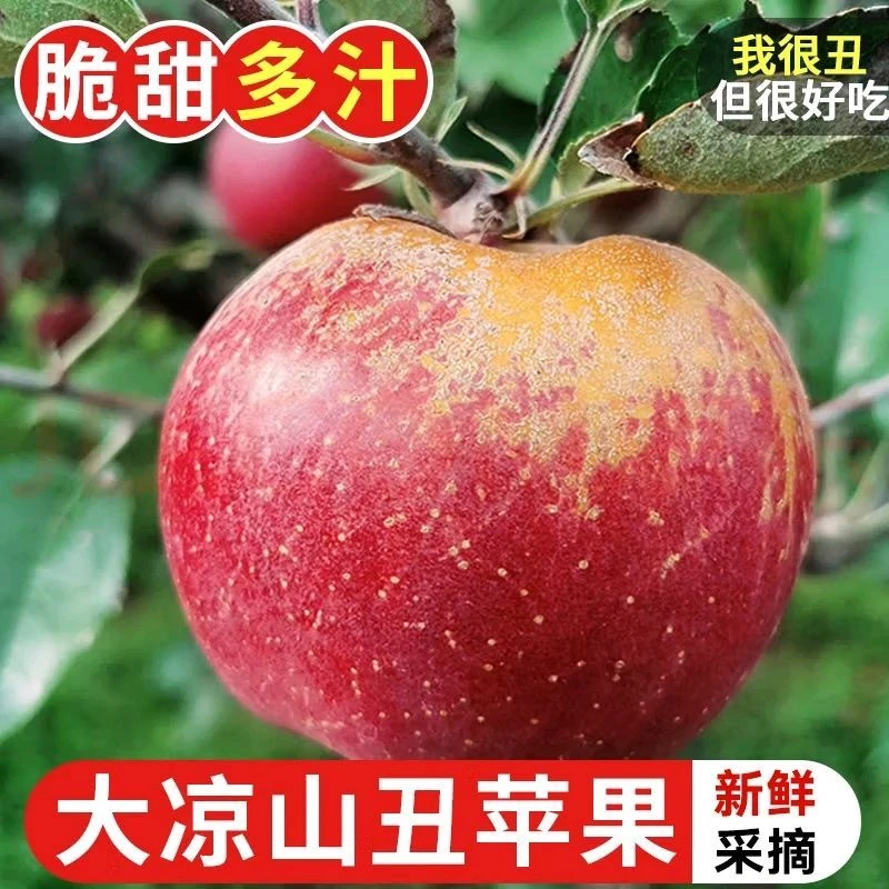 冰糖心丑苹果现摘现发脆甜多汁