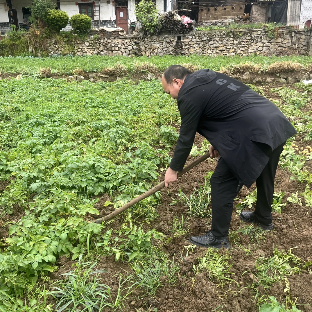 【小虎哥】赶集3号链接蔬菜土特产