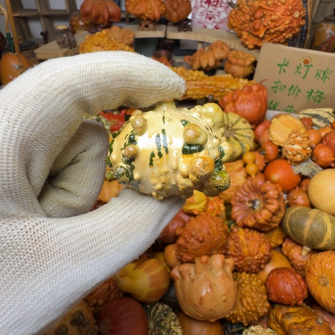 在***.特价葫芦不退不换