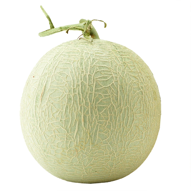 网纹瓜 软糯香甜玫珑蜜瓜哈密瓜多汁山东现摘当季水果4.5-5斤包邮