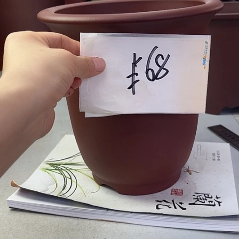紫砂38558588588885