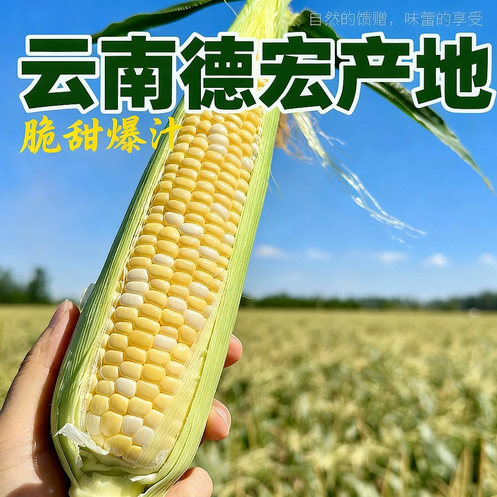 云南水果玉米新鲜玉米脆甜爆汁顺丰
