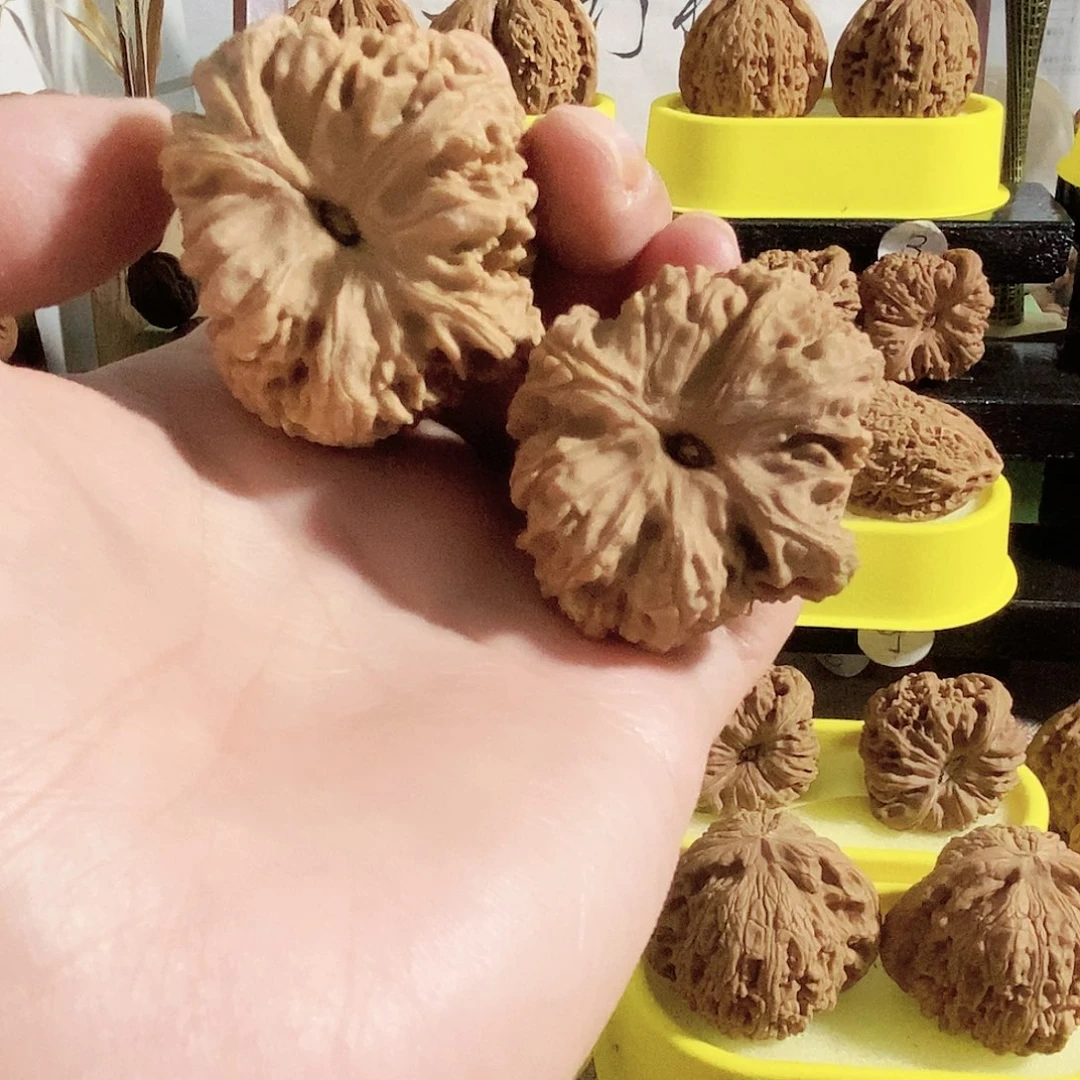 木质类今天是不是又是