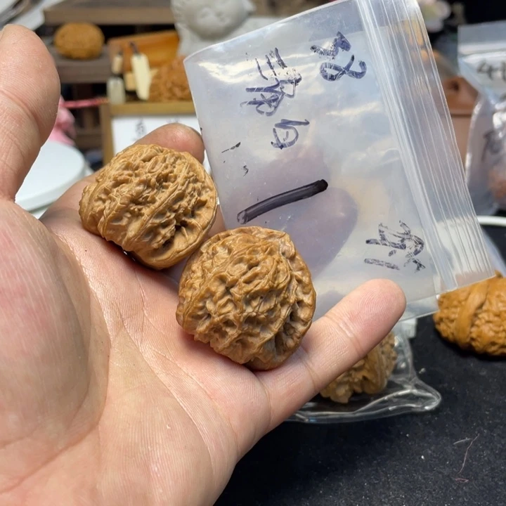 文玩核桃把件丨*白狮子