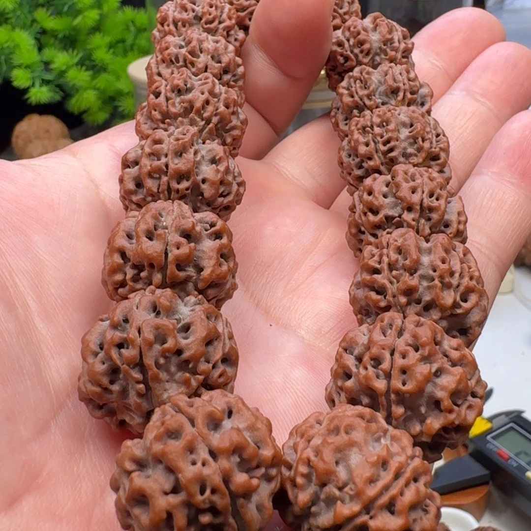 手串金刚菩提铁子蜂王