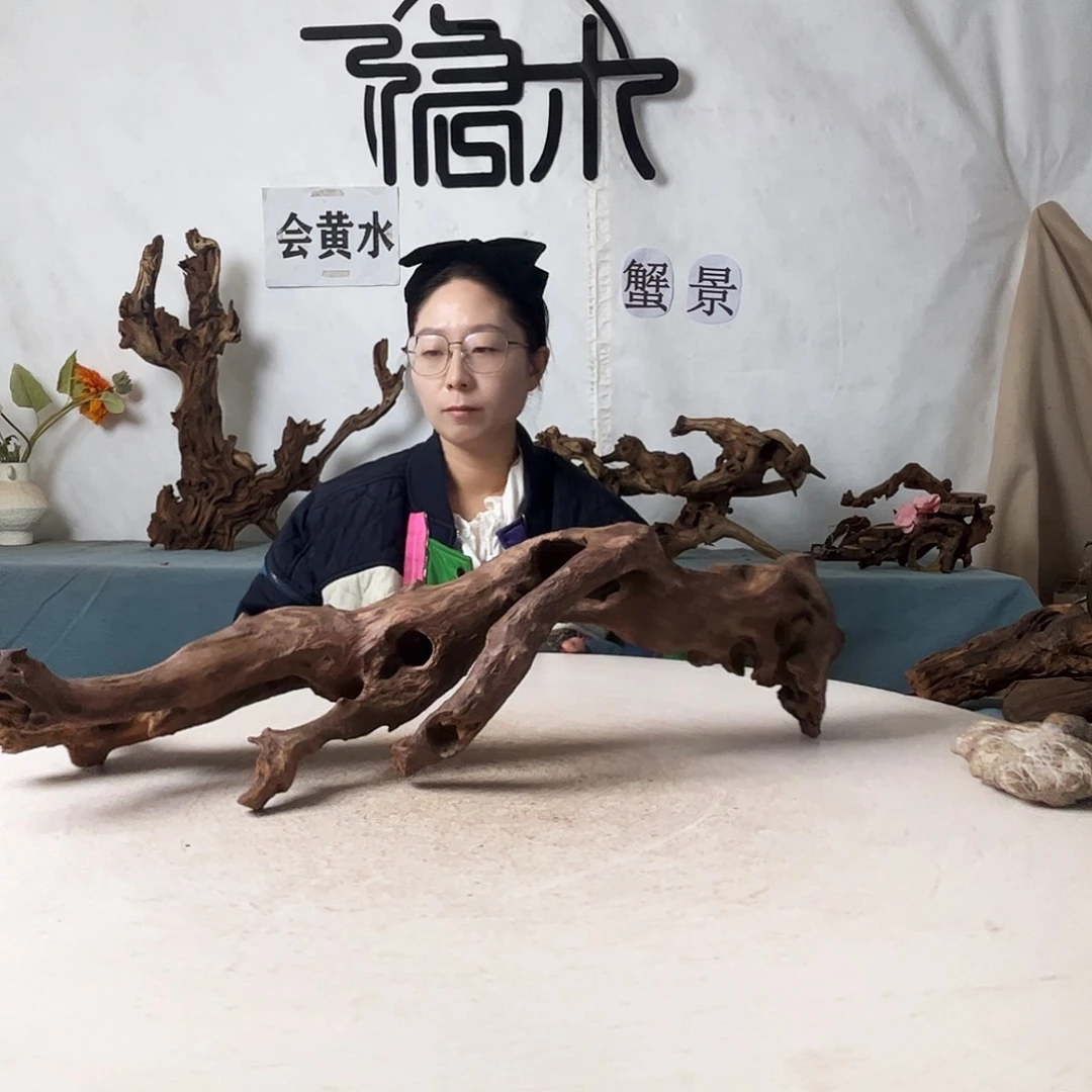 沉木造景爬宠造景
