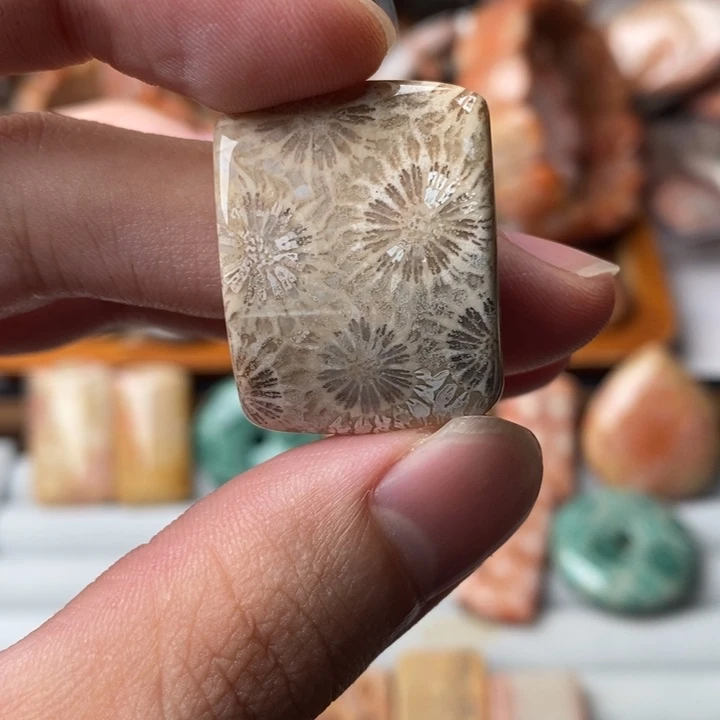泰***刘硅化玉未镶嵌珊瑚玉