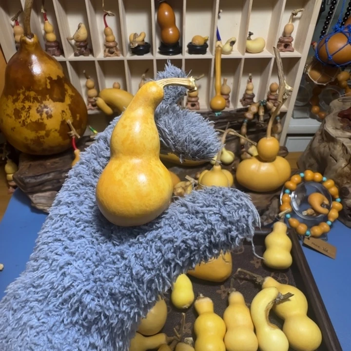 猛***姨花叶天然异形葫芦葫芦葫芦