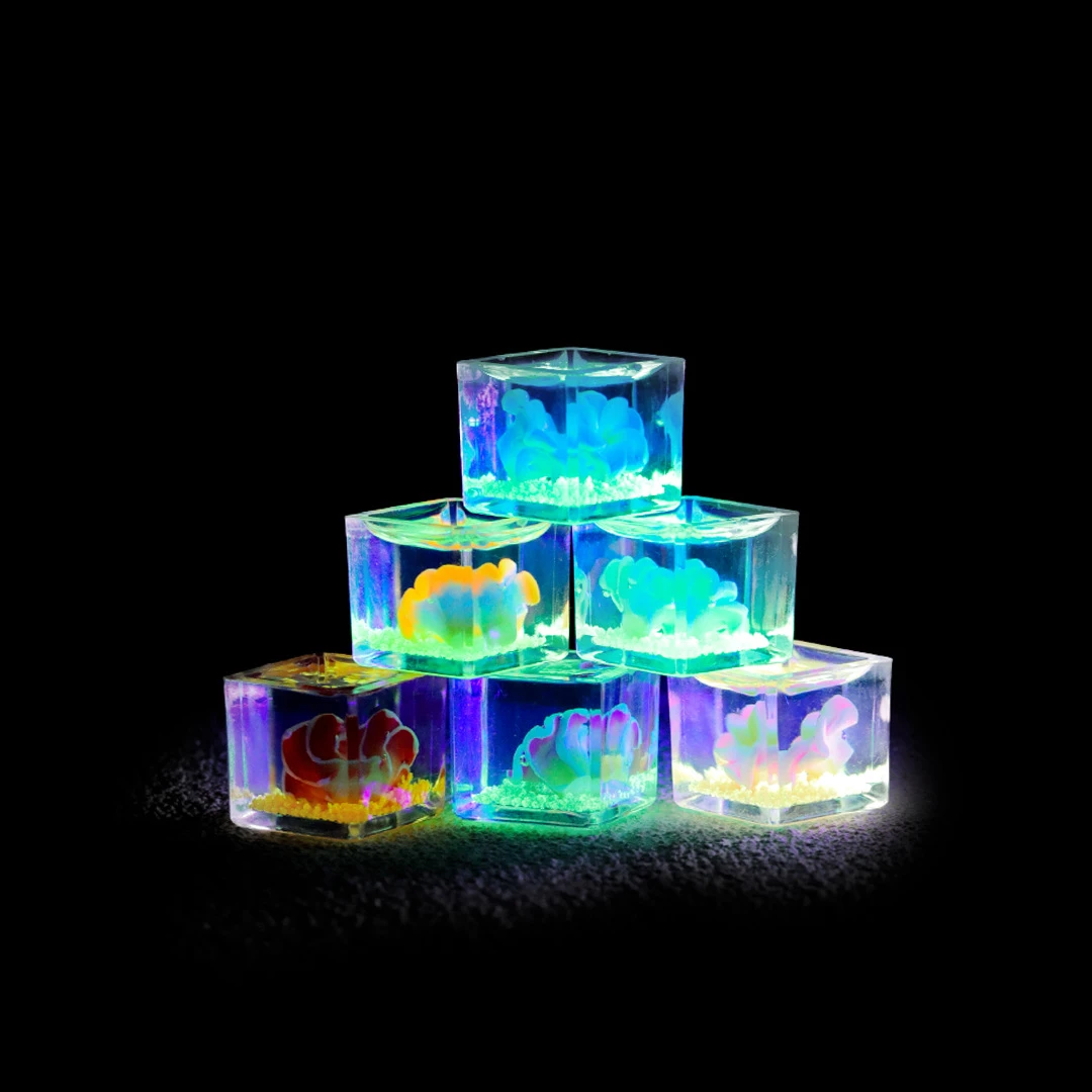 【许愿+对对碰】可爱夜光花朵冰块摆件（未成年人禁止下单）