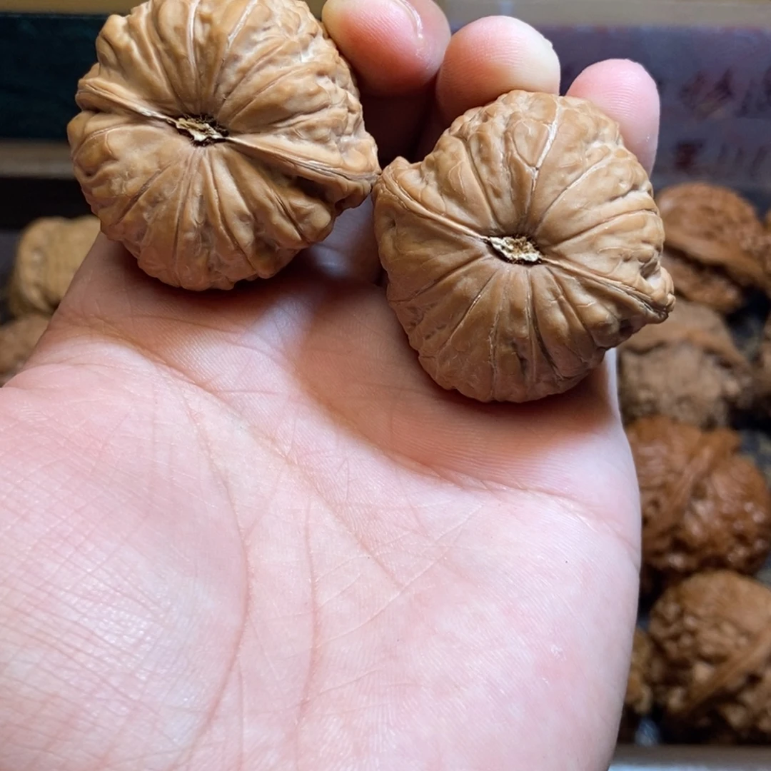 40尺全品南瓜墩白茬