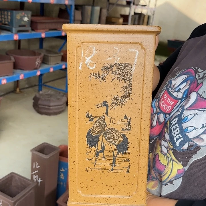 不敢想啊想我没有呢