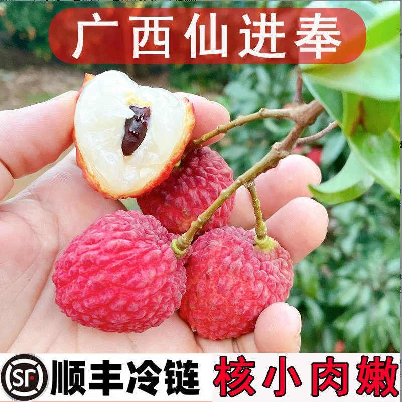 【顺丰冷链】(广西仙进奉)荔枝 核小肉厚个大 果肉鲜嫩净重2-7斤