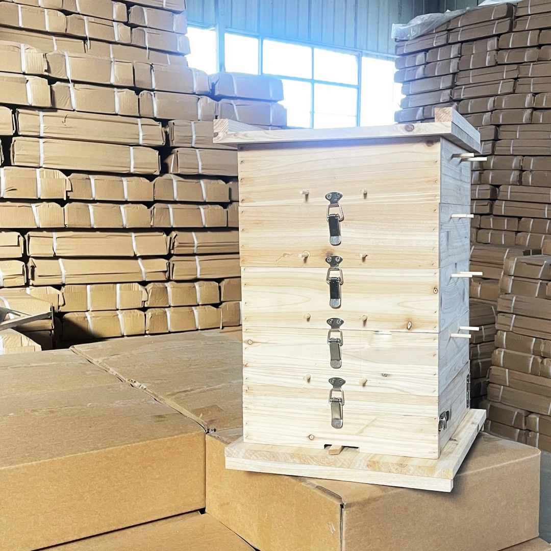 中蜂格子蜂箱五层烘干土养蜂箱蜜蜂专用杉木全套懒人老式养蜂