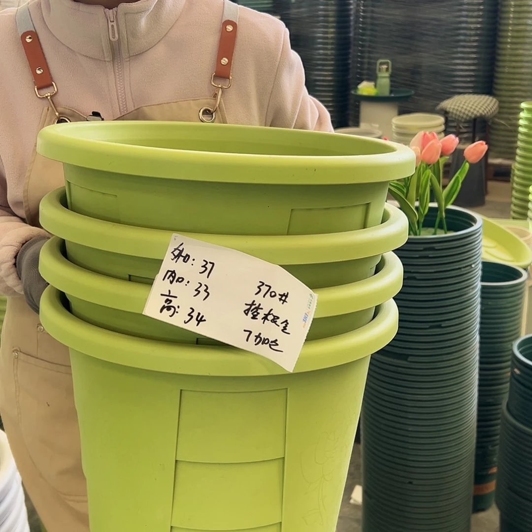 玫瑰370#果绿色4个无托