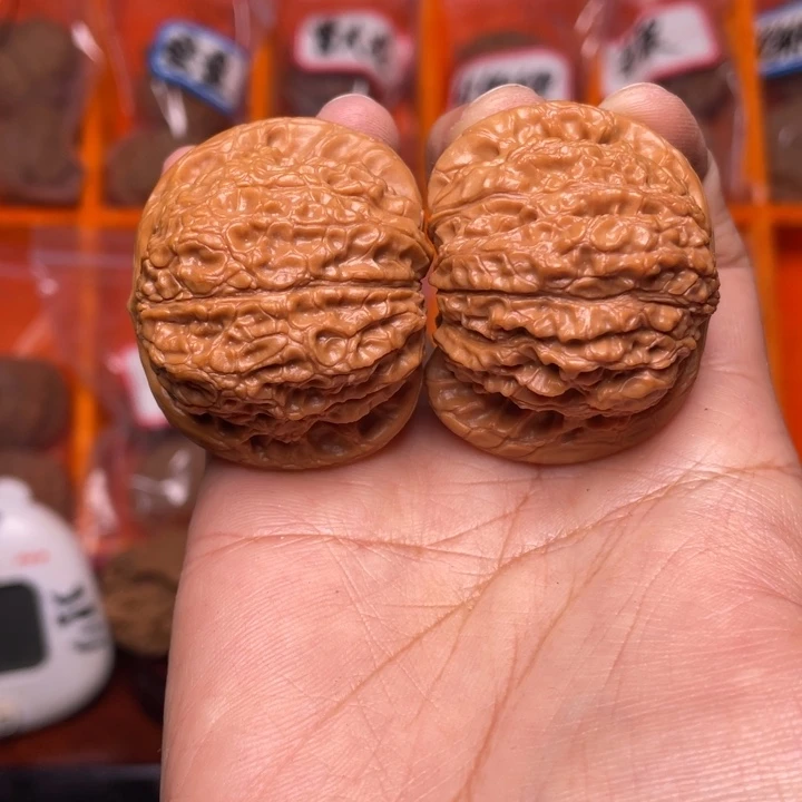 核桃血麒麟大尺寸打好底了