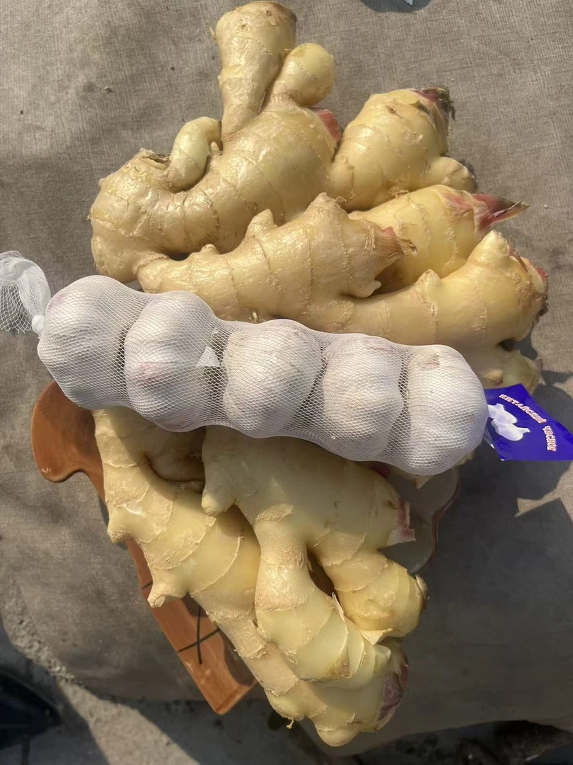 山东安丘新鲜大黄姜皮薄味浓辣味十足的优质蔬菜生姜