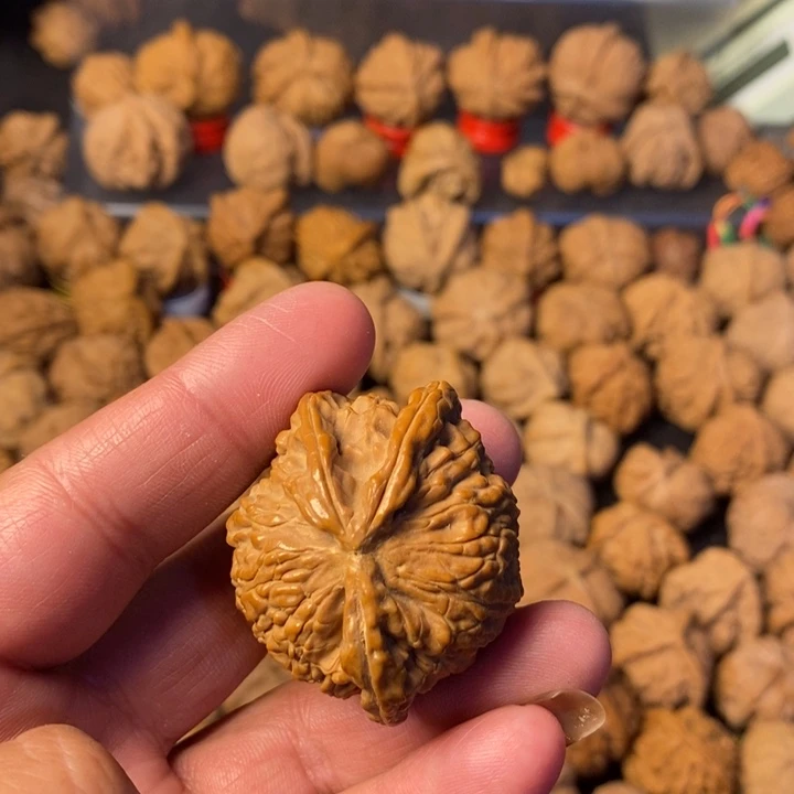 举***独大叶紫檀（黑酸枝木类）