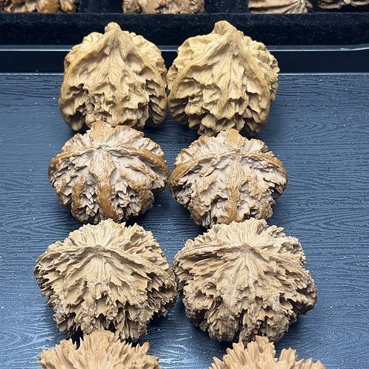 木质类秦岭突突突突突突突