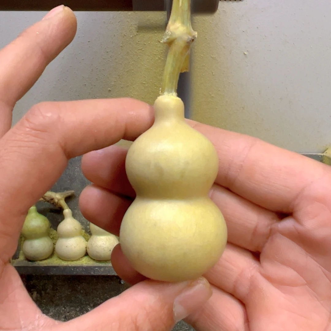 ****不天津嘴儿葫芦葫芦