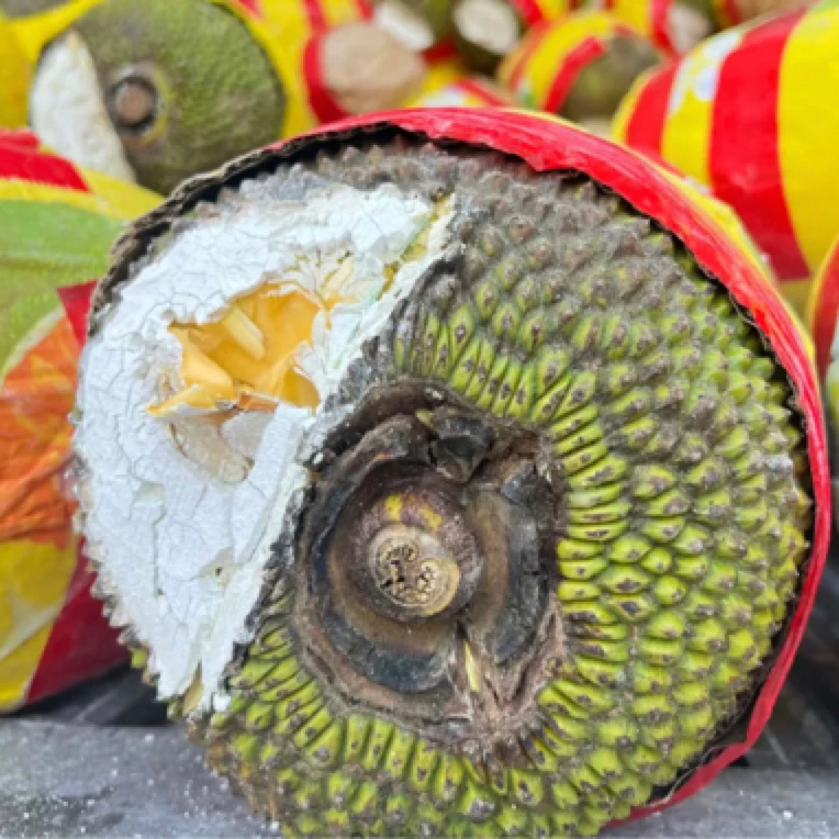 菠萝蜜一整个拨好到手直接吃10斤超出部分补差价