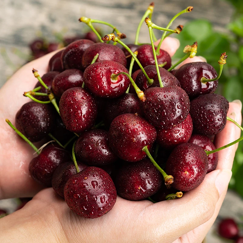 【乐鲜果园】智利海运瑞吉娜2J车厘子5斤装进口樱桃 内附果径卡