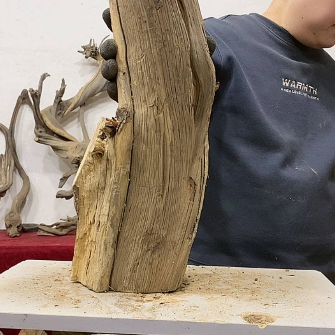 【闪购商品】柏木展****）我们都是好孩子