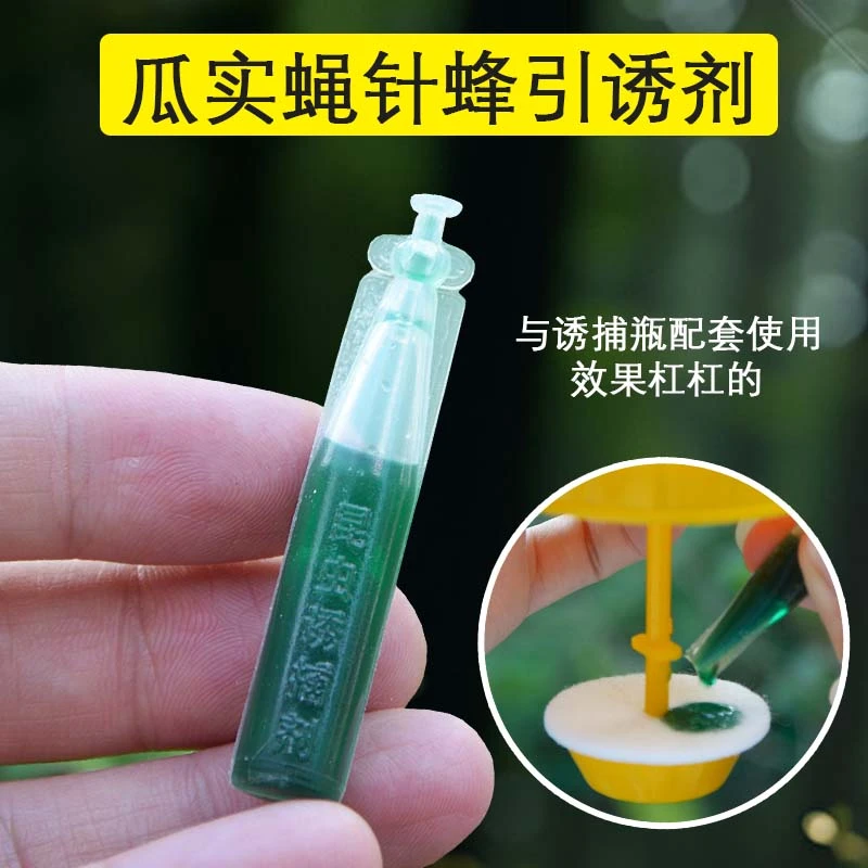 简易果蝇诱捕器盖头果园瓜地桔小实蝇针锋瓜蝇诱引捕捉诱剂瓜蝇剂