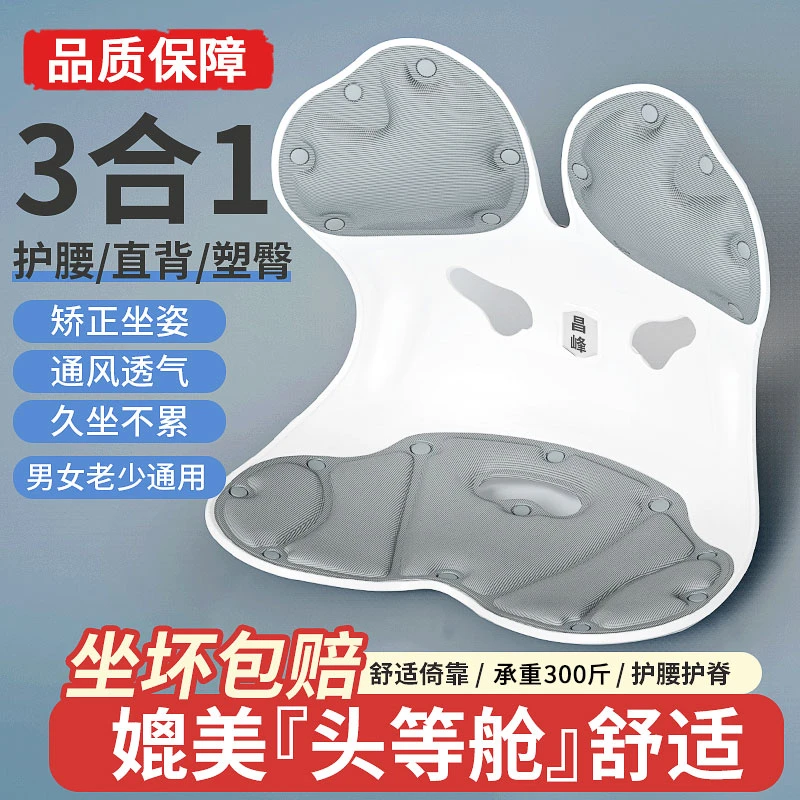 CHANGFENG昌峰[可拆卸]人体工学护腰坐姿椅矫正学习办公护腰坐垫L
