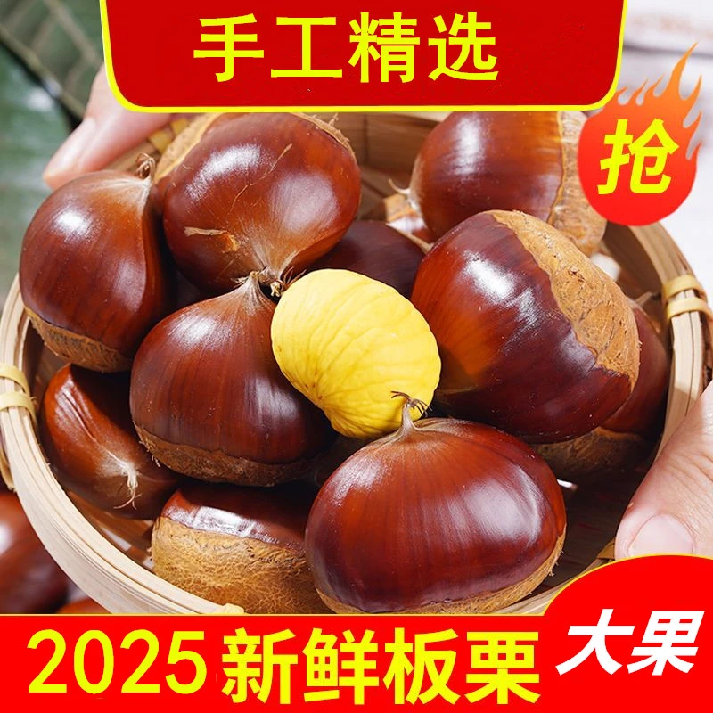 【买3斤送2斤】新鲜东北大板栗2025年下树毛板栗生新鲜板栗油栗子HX