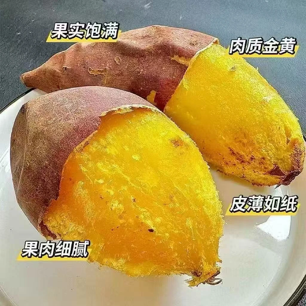 烟薯 红泥蜜薯 糖心烤地瓜 京东送货上门烟薯25号天津市
