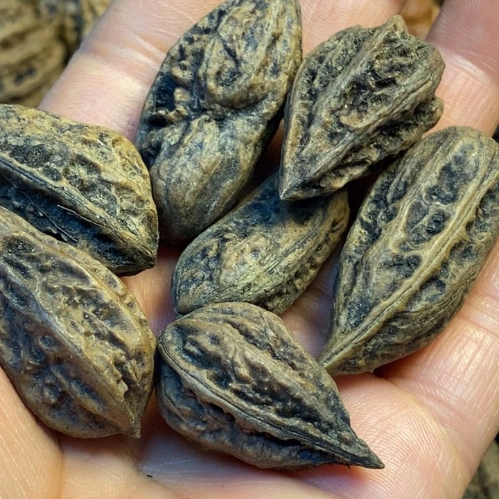 吊坠文玩核桃娜姐80