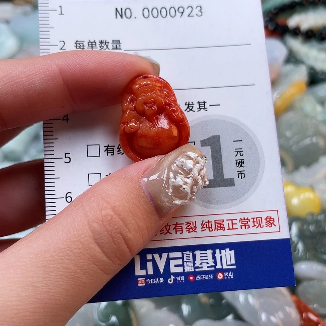 翡翠未镶嵌颈饰923