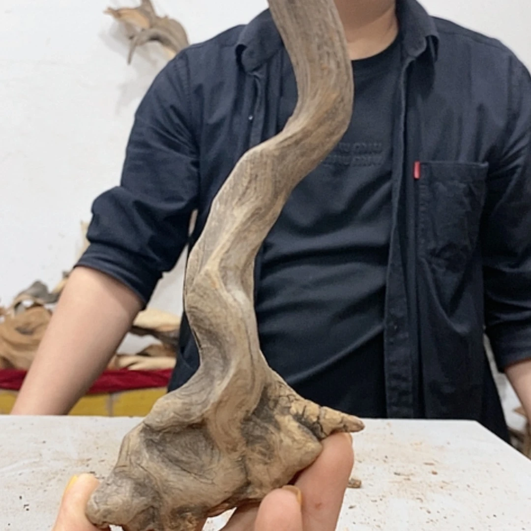 【闪购商品】柏木哎****6我们都是好孩子