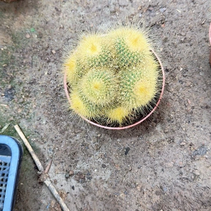 呵***呵哈哈哈哈哈哈哈哈哈