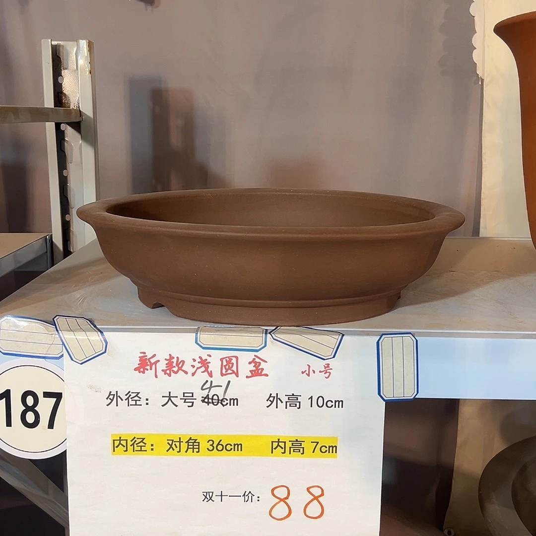 新款浅圆盆小号一个