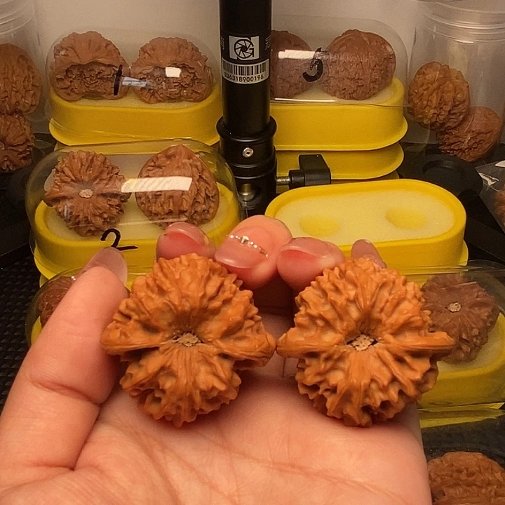 张***哥49奥底  高尖龙门