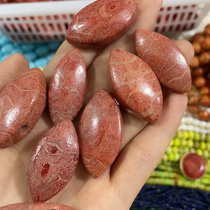 贝壳非金属一个大孔马眼