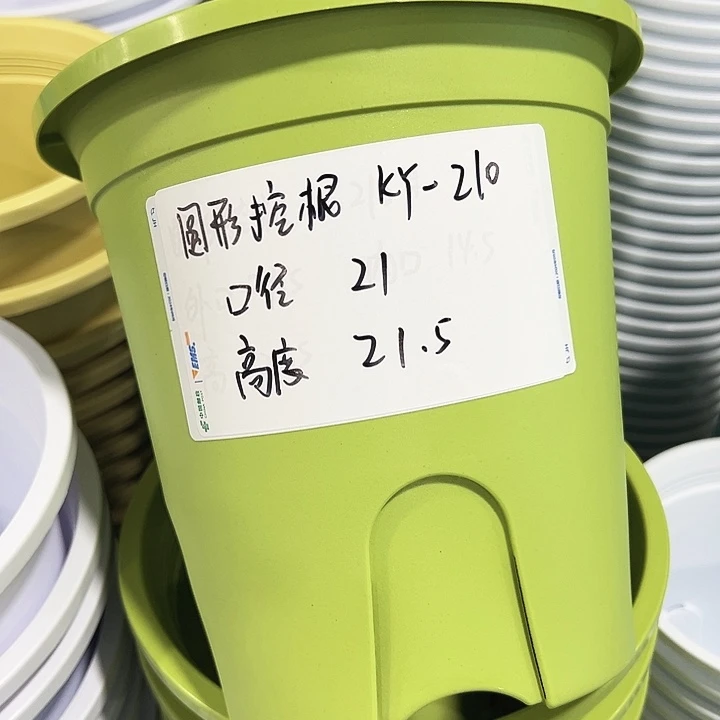 正品圆控口21高21果绿无托8只