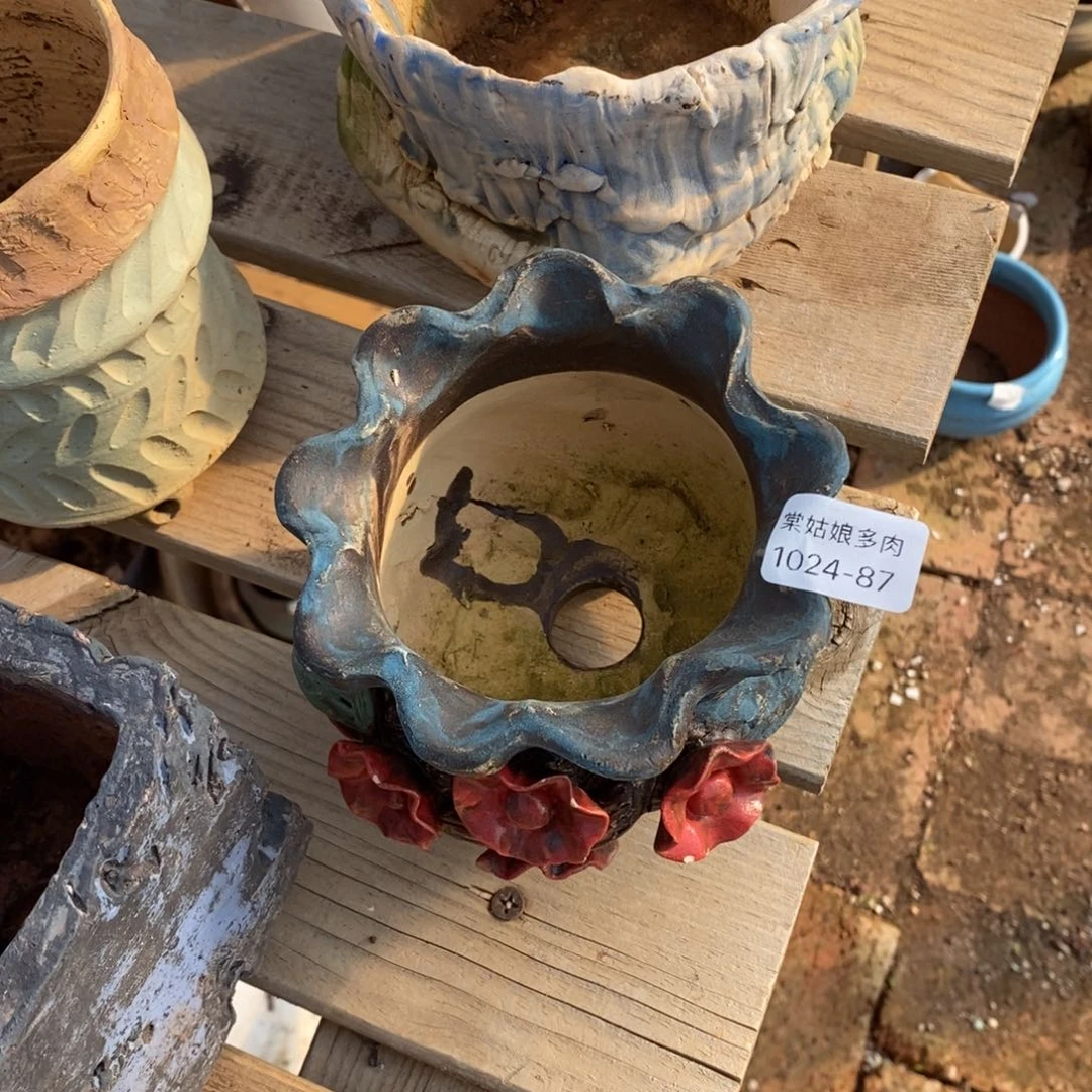 红陶向****儿87号多肉盆一个呀