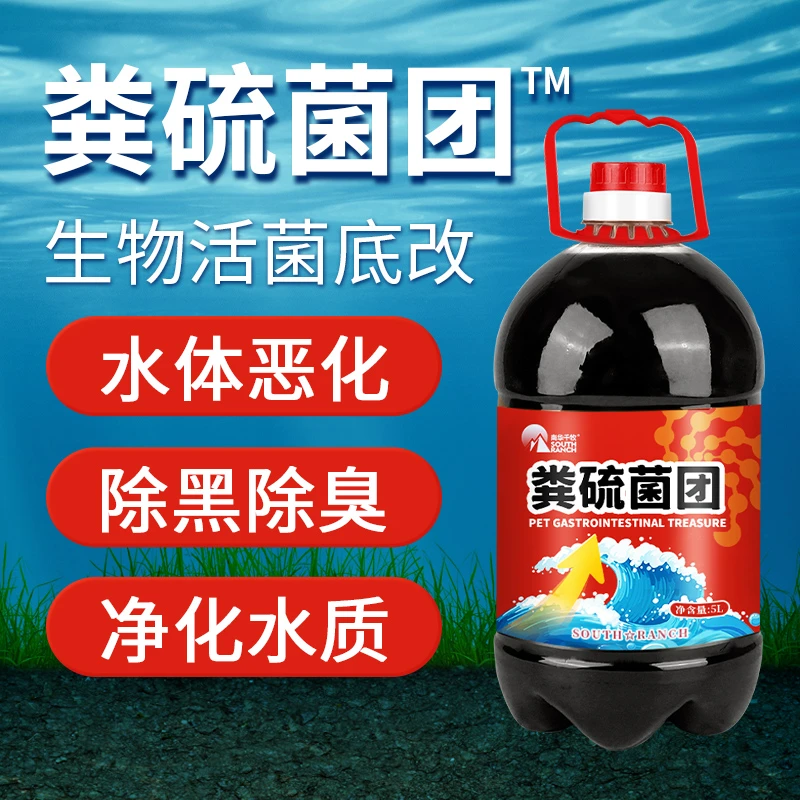 【南华精选】粪硫菌团除硫化氢克星小龙虾蟹海参鱼塘底部气泡净化水