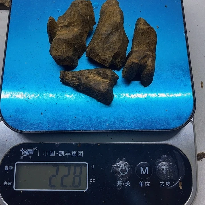 20克，张勺波浪品种多样性发一