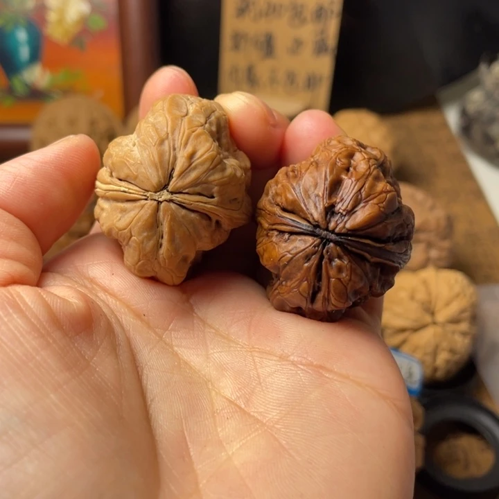 花***间云南野生铁核桃编号21