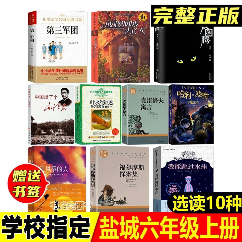 盐城六年级上册第三军团放慢脚步去长大我能跳过水洼追风筝的人等