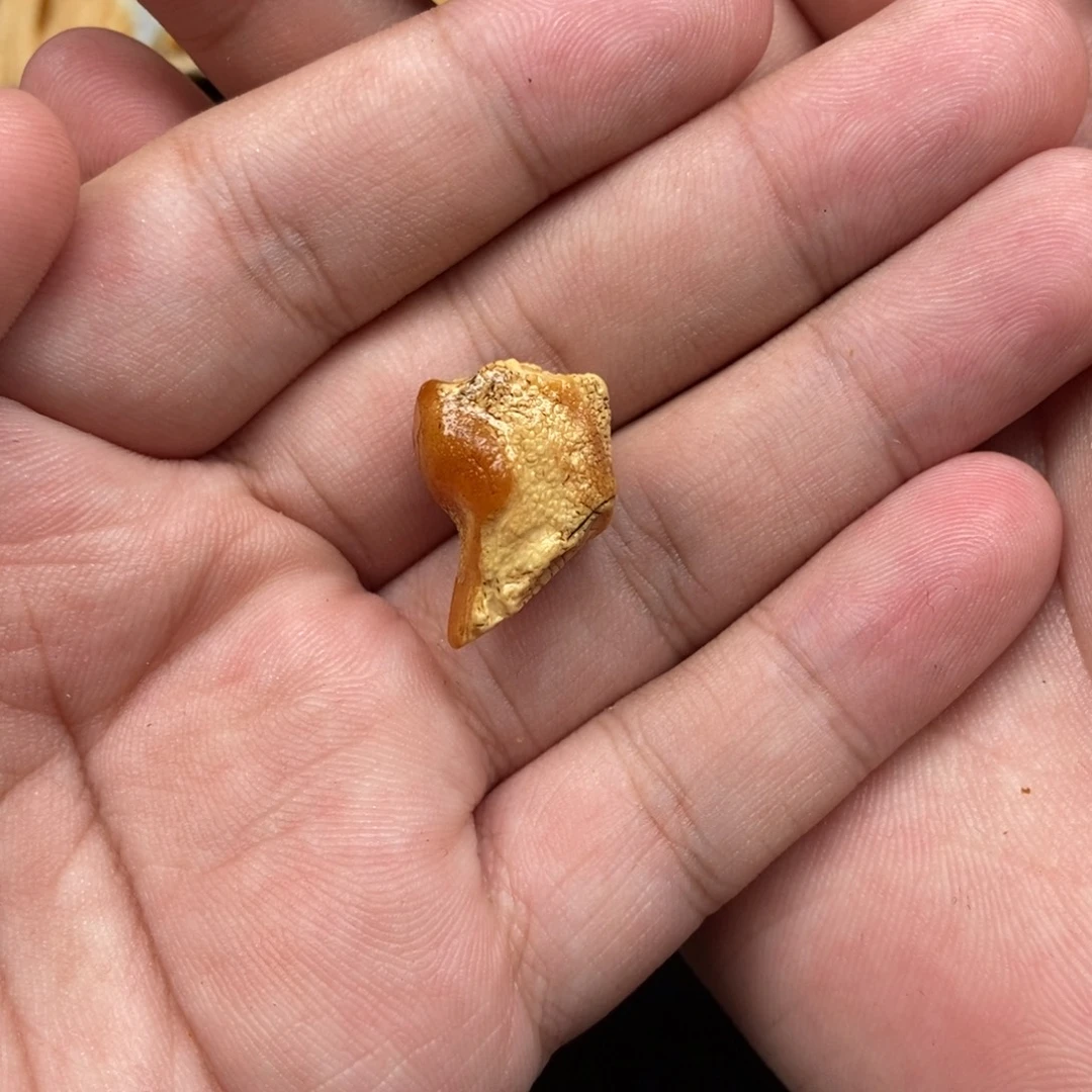 结***肉未镶嵌定制琥珀定制
