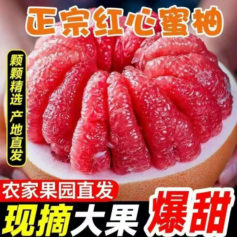 【红心柚】红心蜜柚皮薄鲜甜多汁新鲜采摘皮薄鲜甜多汁·JS8