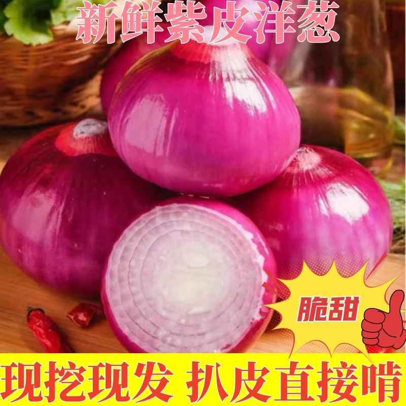 新鲜水果洋葱带箱9.5-10斤可生吃微甜微辣农家现挖洋葱2025年新葱