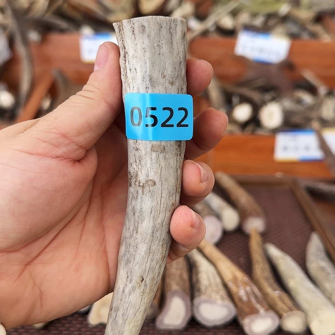 手串/手链鹿骨角尖0522