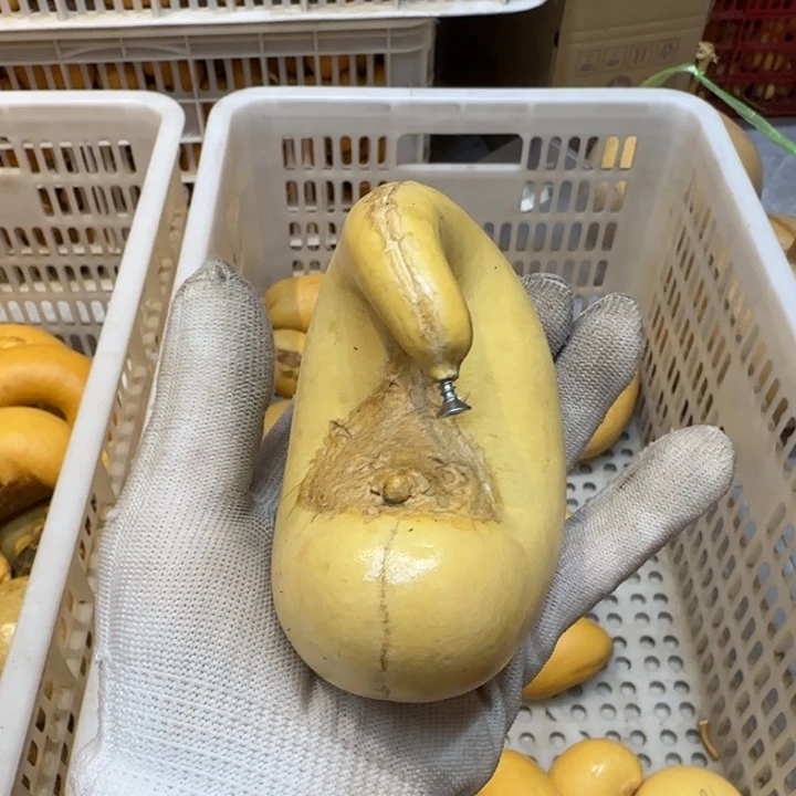 *****哈哈哈哈哈哈哈哈哈哈哈哈