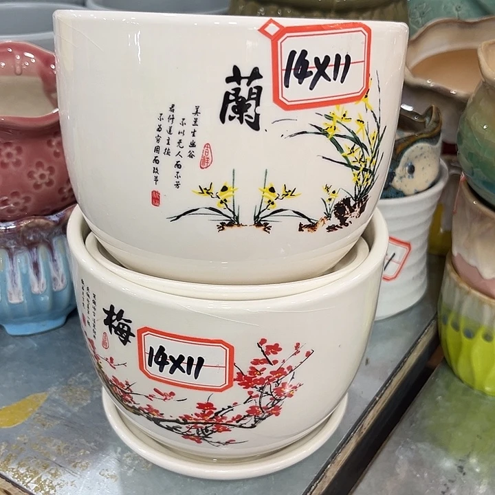 花盆花盆花盆花盆花盆花盆花盆